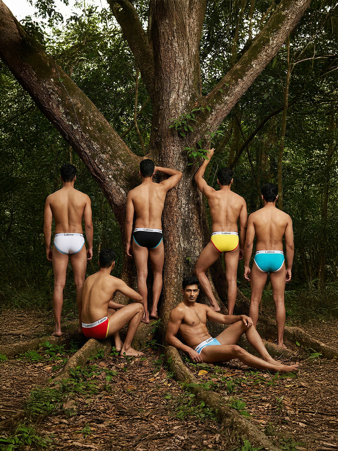 Cotton Brief - Thigh High (Pack of 6)